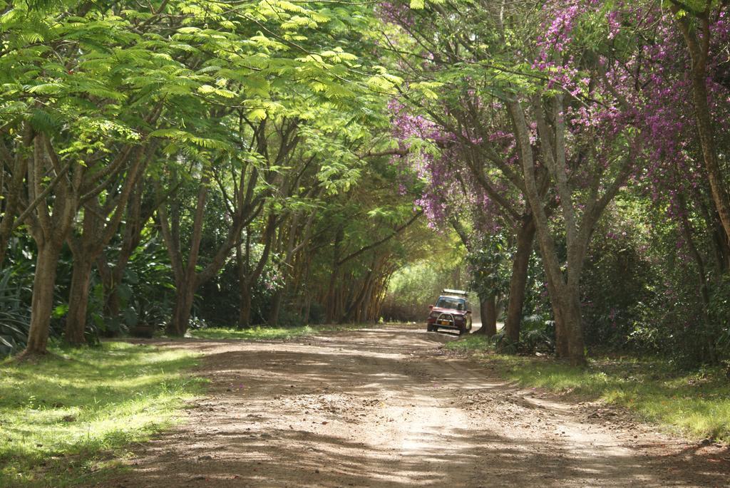 Moivaro Coffee Lodge Arusha Bagian luar foto